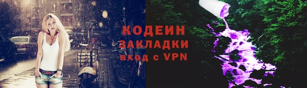 гашик Карпинск