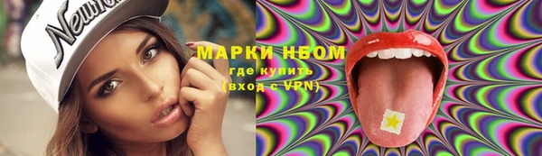 хмурый Касимов