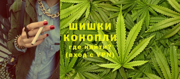 гашик Карпинск