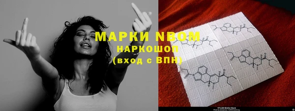 гашик Карпинск