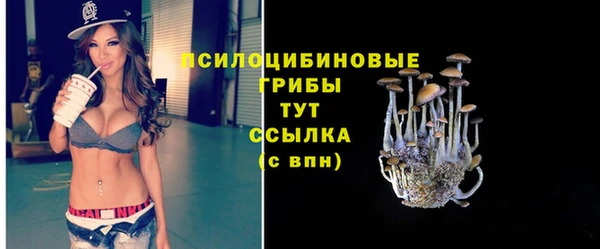 гашик Карпинск