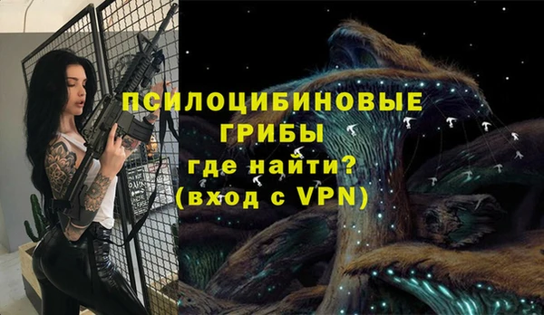 хмурый Касимов