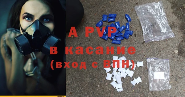 хмурый Касимов