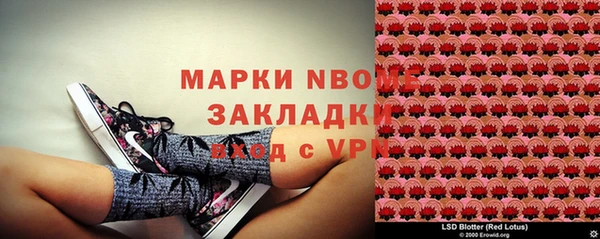 хмурый Касимов