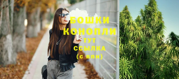 хмурый Касимов