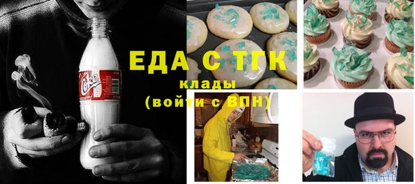 гашик Карпинск
