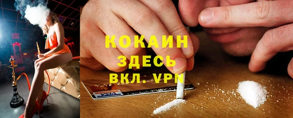 гашик Карпинск