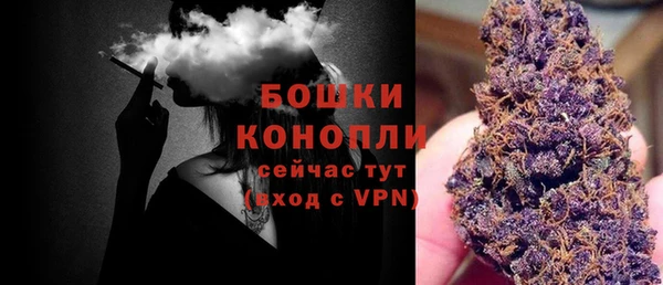 хмурый Касимов