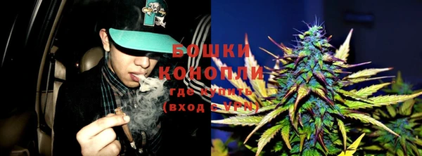 гашик Карпинск
