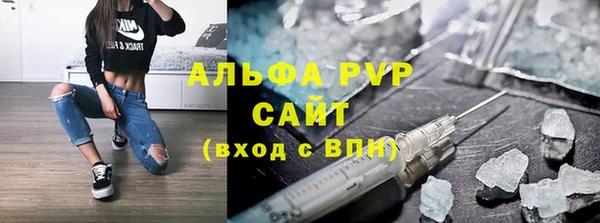 гашик Карпинск